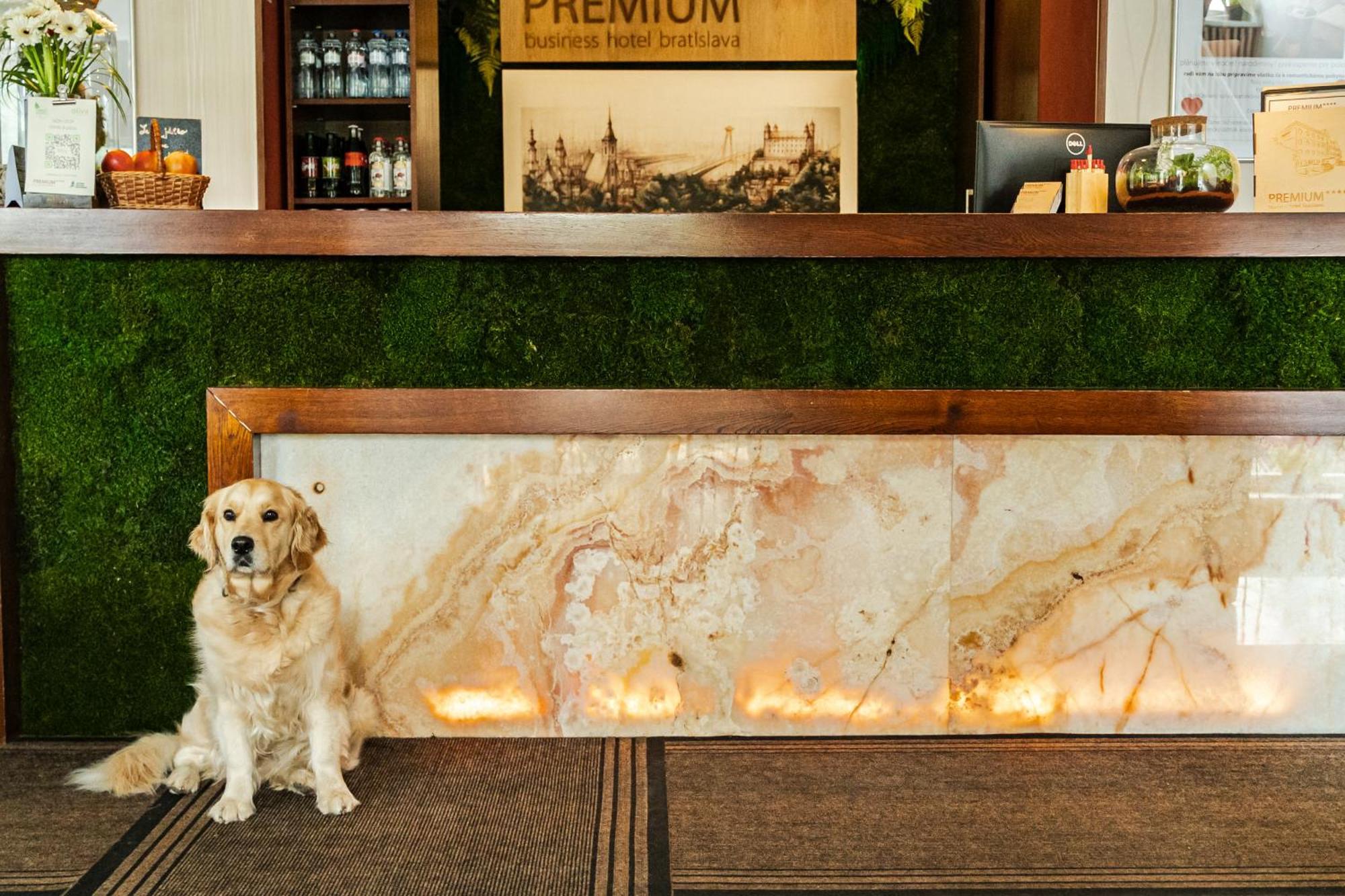 Premium Business Hotel Bratislava Exterior photo